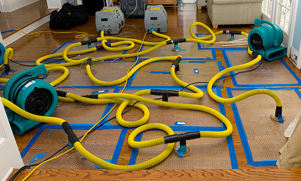 Professional Sewage Cleanup technician working in Cranberry, PA